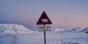 A polar bear sign