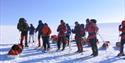 A tour group on skis