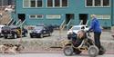 Three persons dog sledding with a wagon decorated with pride flags