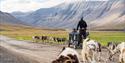 © Visit Svalbard