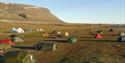 Tents on a camping site on the tundra