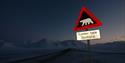© Visit Svalbard