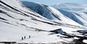 © Visit Svalbard
