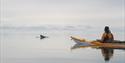 © Visit Svalbard