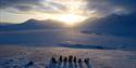 Gruppe mennesker står i solnedgang på snødekt vidde.