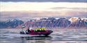 RIB boat sailing in open fjord with mountains in the background