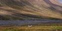 © Visit Svalbard