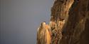 A puffin sitting on a cliffside in sunshine