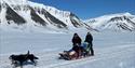 Two persons on a dog sled behind a team of running dogs in a snow-covered landscape with mountains and a blue sky in the background