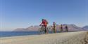 A guide and guests biking along a road next to the sea