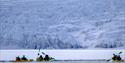 Three kayaks with persons paddling along the edge of a large sheet of sea ice with a glacier in the background