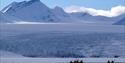 A group of guests in kayaks paddling along the edge of a large sheet of sea ice with a large glacier in the background