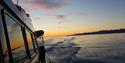 Boattrip in the sunset