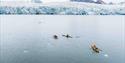 © Visit Svalbard