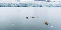 © Visit Svalbard