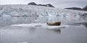 © Visit Svalbard