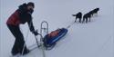 Two dog sleds running behind 
each other on the snowy tundra.