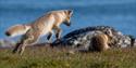 © Visit Svalbard