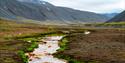 © Visit Svalbard