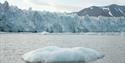 © Visit Svalbard