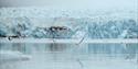 © Visit Svalbard