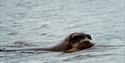 © Visit Svalbard