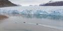 Two RIB boats sailing in front of a glacier