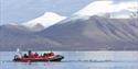 A RIB boat with guests and a guide floating on a fjord surrounded by swimming sea birds, and tall snow-capped mountains in the background