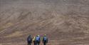 A group of guests and a guide hiking through a tundra landscape