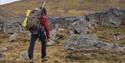 En guide med ryggsekk og rifle på ryggen som går opp en fjellside