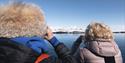 Two guests in the foreground standing on a boat while observing walruses on land in the background from a safe distance using binoculars