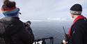 Two persons on board a boat scouting out across a fjord towards two walruses on a sheet of ice in the background