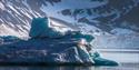 A blue and dark iceberg floating in a fjord with a glacier front and a tall mountainside in the background