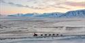 A dog wagon driving along a road in a frozen landscape