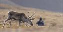 © Visit Svalbard