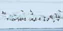 © Visit Svalbard