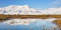 Grass and water with snowcovered mountains in the background and a blue sky