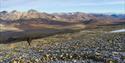 One person walking up a rocky mountain with many beautiful mountains in the background