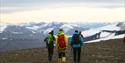 Fire personer på vandretur i fjellet