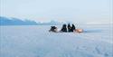 In the middle of a white and snowcovered landscape, 3 snowmobiles are parked. One person is standing and talking to the two other drivers.