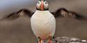 © Visit Svalbard