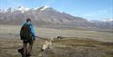 Person hiking with dog towards a cabin