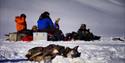 A sled dog resting in the snow and people having lunch in the background