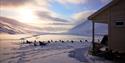 The snowy landscape surrounding Reinheim.