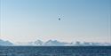 © Visit Svalbard