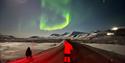 Persons standing on the road taking pictures of northern lights