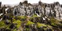 Green birdcliffs