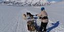En person på ski ved siden av en liten hundeslede med tre hunder, som kjører nedover dalen. I bakgrunnen ligger det snødekte fjell, og en klar himmel.