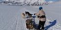 A person skiing next to a small dog sled with three dogs, going down the valley. In the background there are snow-covered mountains and a blue sky.