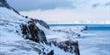 Snødekt arktisk kystlandskap med is og fjell.